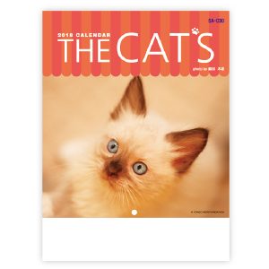 THE CATS(猫)〔段返し〕